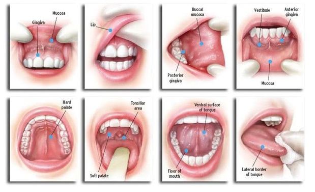 prevent oral cancer